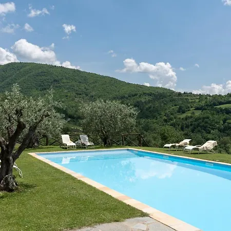 Olivi Pool By Geco Vacation * Subbiano